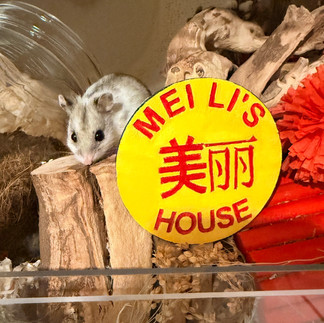 A Chinese hamster perched on top of a branch in front of a name tag saying Mei Li's House in red text on a yellow circle