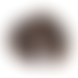 a dark coloured dried sunflower head