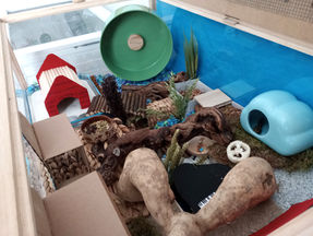 Inside a hamster cage with a green Bucatstate wheel, DIY red Snoopy kennel hide over a glass dish of sand and dark brown branches, bamboo root and blue ceramic cloud hide.