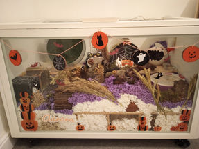 Front of hamster cage with platforms, purple and white bedding, hides and a green wheel.