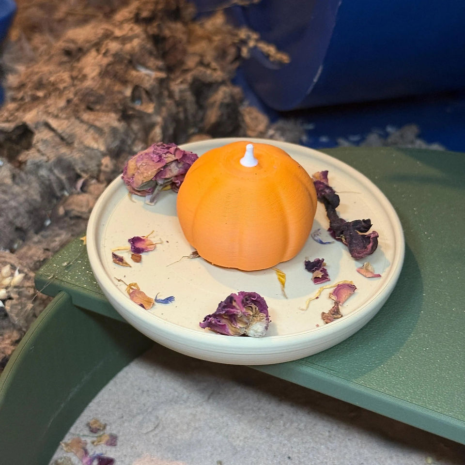 A 3D printed cream hamster dish with an orange pumpkin in the middle, on top of a green hamster sand bath container