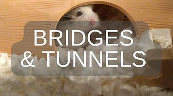 Hamster Bridges & Tunnels.