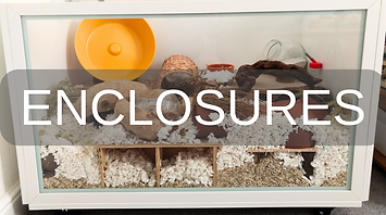 White DIY IKEA Hamster Cage with bedding, platforms, hides, natural items and a large yellow wheel. 