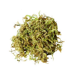 a pile of green moss
