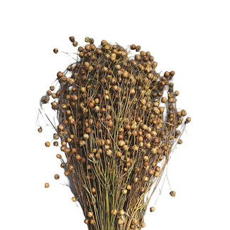 A big bunch of golden coloured flax sprays