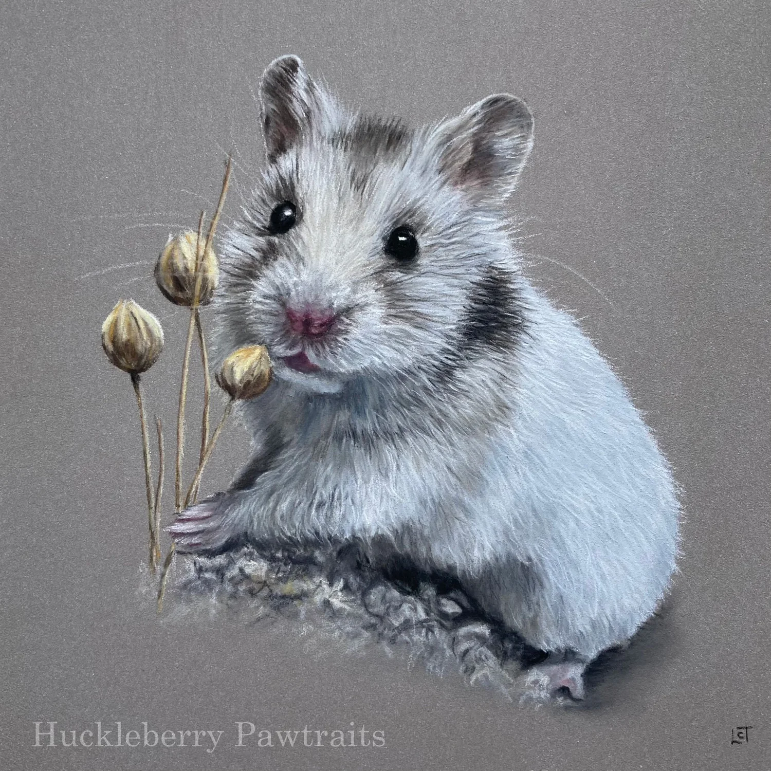 Realistic portrait drawing of a Syrian hamster with a flax spray