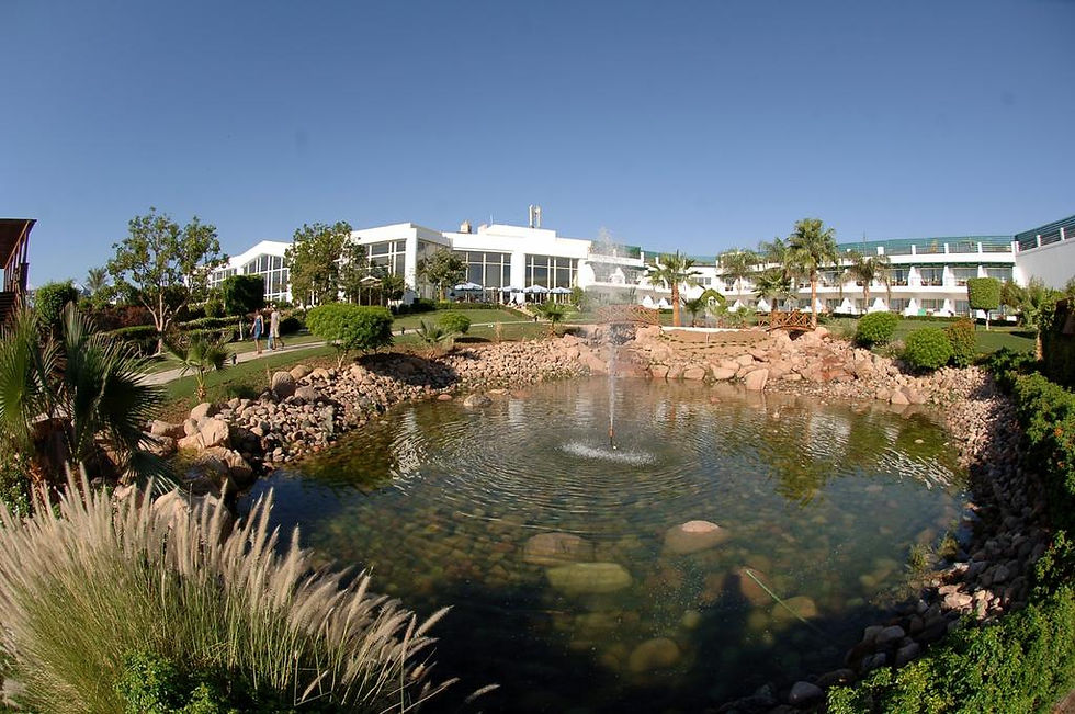 Miniatura: Hilton Waterfalls 5*