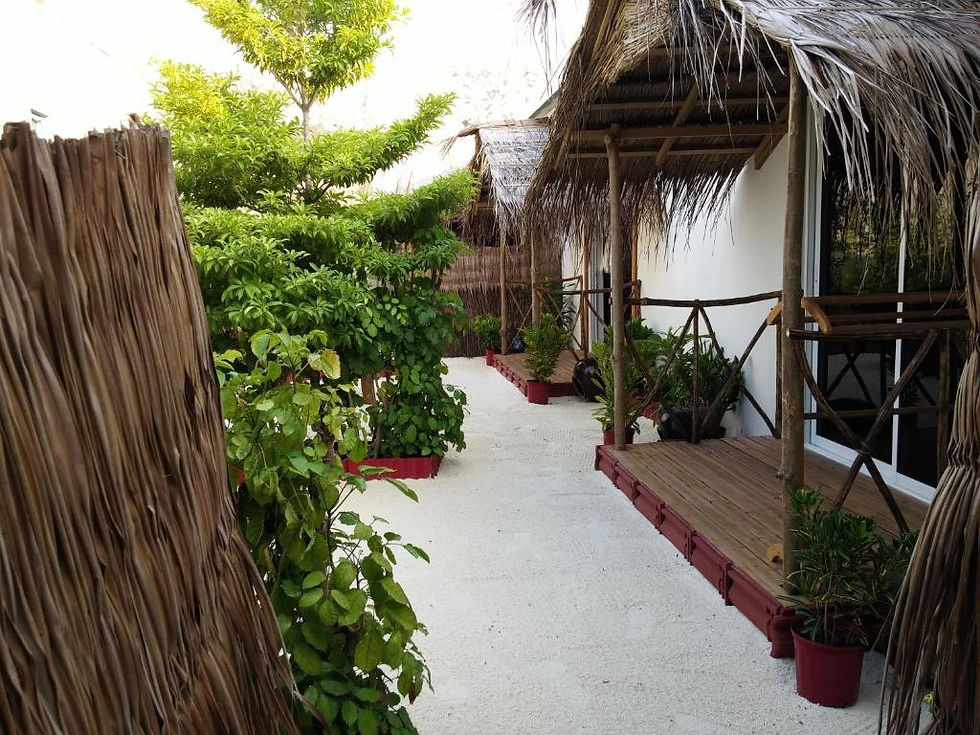 Miniatura: Maafushi View Guest House