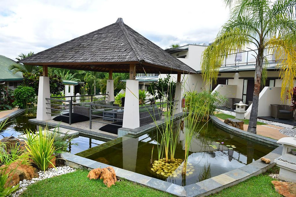 Miniatura: Hotel Hibiscus 3*