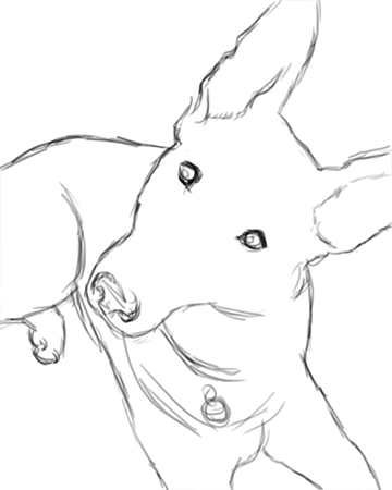 NovaGIF.gif
