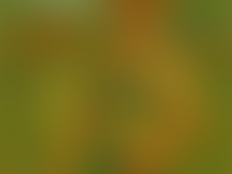 Backyard Design near Taylorsville UT