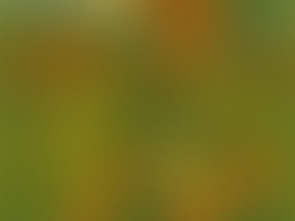 Backyard Design near Bountiful UT