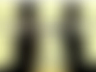 DIREITOnews | Em caso de separação, o locatário que ficar no imóvel assume a locação?