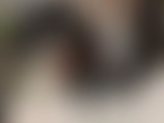 Guadalupe promove Feira de Adoção de Animais “Me dê um Lar”