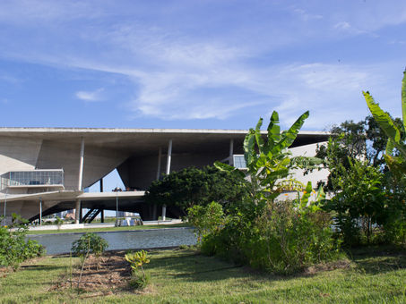 Cidade das Artes promove dicas de alimentos saudáveis em sua horta urbana