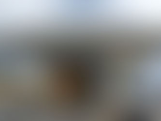 Módulo parador da estação Marechal Fontenelle é reaberto após reformas