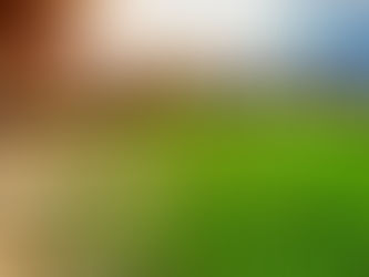 HOLÍSTICOnews | É hora de acordar!