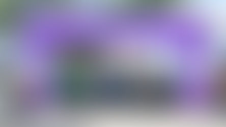 Evento esportivo reúne mais de 16 mil pessoas em corrida no Museu Aeroespacial