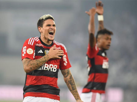 Bruno Henrique decide, Fla bate o Bota no Nilton Santos e volta a vencer no Brasileirão