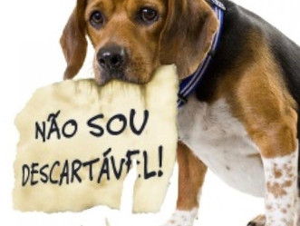 PETSnews | Posse responsável, a regra é clara!