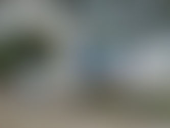 Futuro Parque Realengo receberá nome da jornalista Susana Naspolini