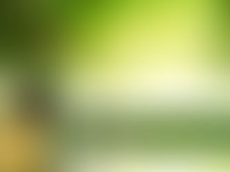 HOLÍSTICOnews | O tratamento com Reiki