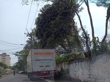 Motoserra tá on! Iniciada a retirada de mais de 170 árvores para construção de condomínio em Sulacap