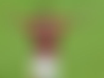 ESPORTES | Fla cumpre a obrigação, bate o Goiás com facilidade e volta a vencer no Brasileirão