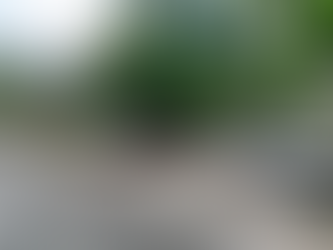 Rua Caratuva na Estrada do Catonho não tem água encanada pela Cedae