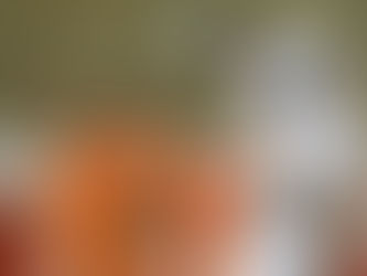 ESPORTES | Bota leva susto no fim, vence e assume a liderança na Sul-Americana