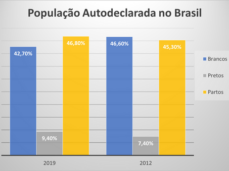 O mercado de trabalho brasileiro para população negra
