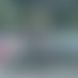 Prefeitura reconhece transtornos causados ao Jardim Sulacap, devido evento no Museu Aeroespacial