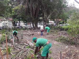 FPJ realiza plantio de frutíferas em horta comunitária do Jardim Sulacap