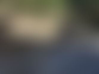 Tesouro arqueológico é encontrado durante obras do RioZoo. Confiram as fotos