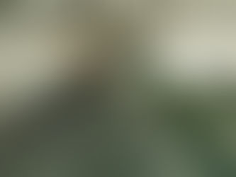 Você sabia que o Museu Aeroespacial está de cara nova? Confiram as imagens