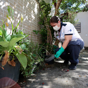Jardim Sulacap e outros bairros recebem ação de combate à Dengue nessa quarta-feira (04)