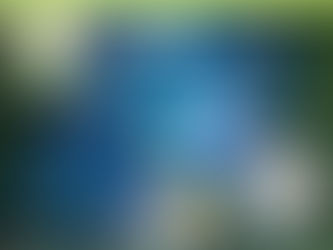 HOLÍSTICOnews | Tratando ambientes, relacionamentos e animais com a Mesa Radiônica