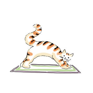 Cat Yoga