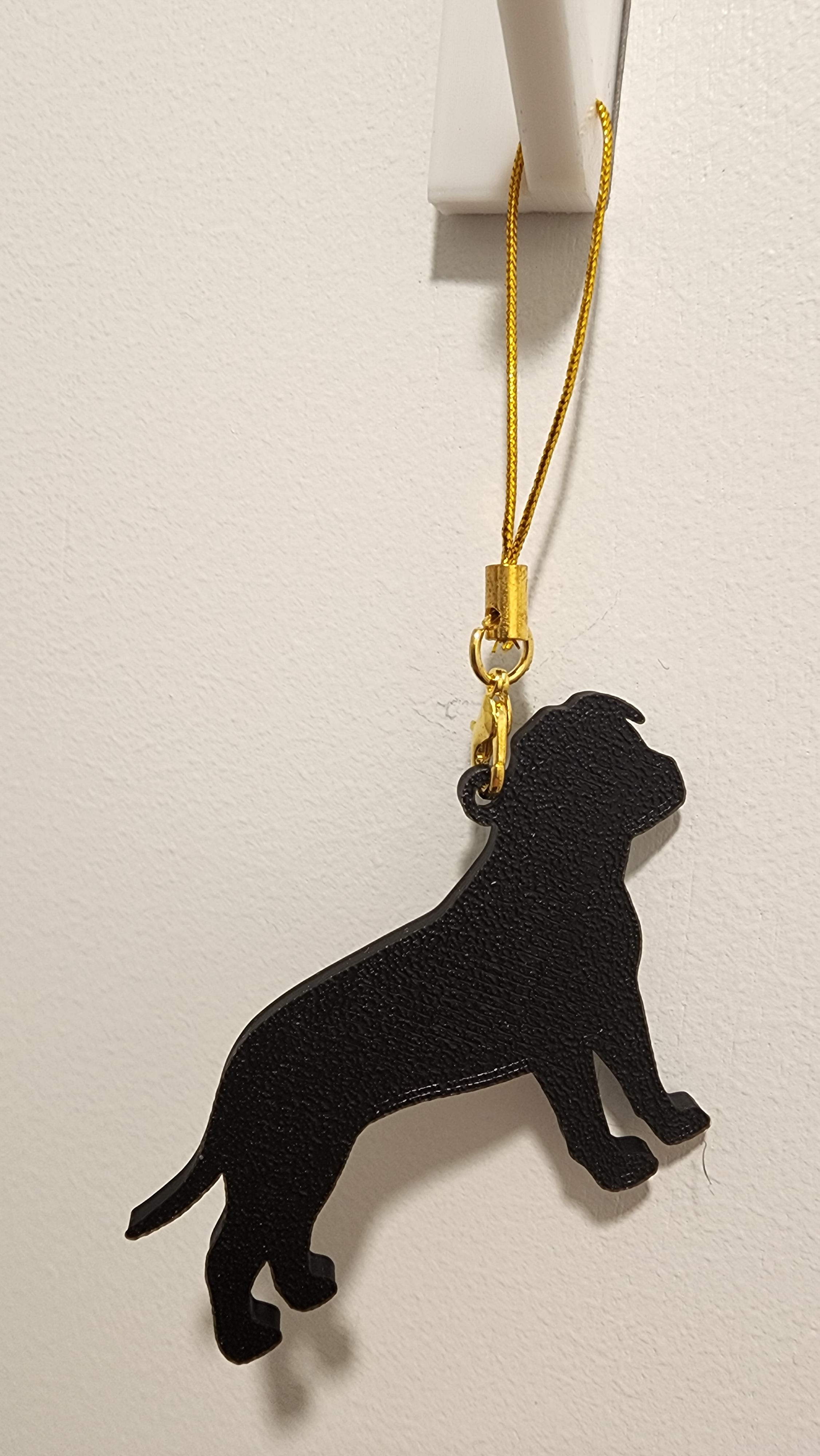 AG042_American-Staffordshire-Terrier