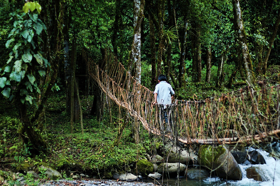 MEGA FAQ — Planear un viaje a Costa Rica (Guía experta para viajeros conscientes)