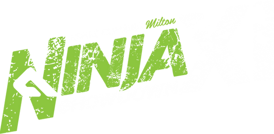 NSDXI-Logo (Wht-Grn).png
