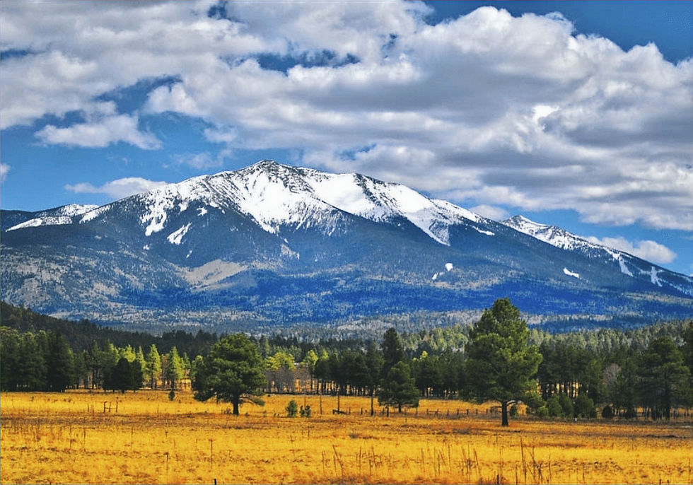 Humphreys Peak: Arizona’s Skyward Challenge
