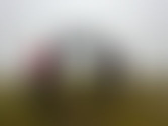 Week 9 (4/04 - 10/04)