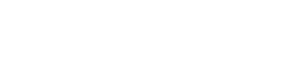 logo-tdi-branco.png