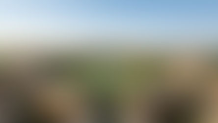 Vedic Urban Planning- Padmaka lotus layout