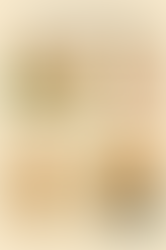 Home Design Principles Illustration