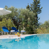 big pool (shared pool)