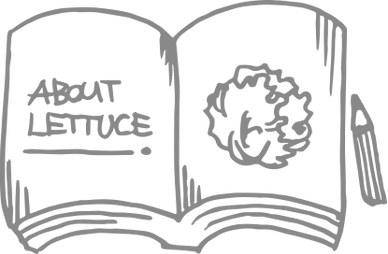 アムール農房 レタスのこと For Lettuce