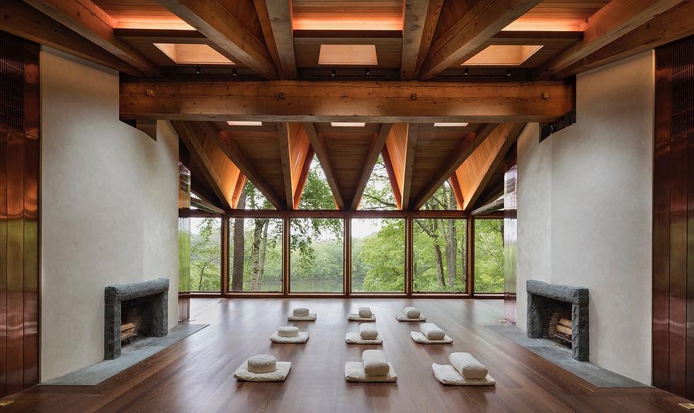 Wild Wisdom | Forest Bathing Wellness Retreats and Workshops