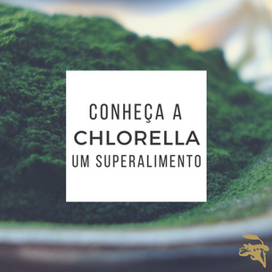 Dica Saudável - Chlorella e seus benefícios